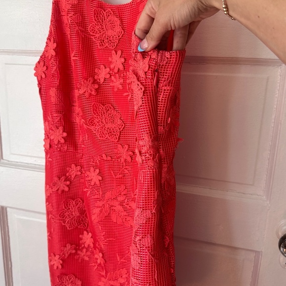 Romeo & Juliet Couture Floral Lace Mini Sheath Dress Cotton Vibrant Coral Large - Picture 9 of 15